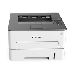 Pantum P3010D