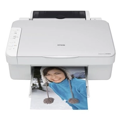 Stylus DX3800