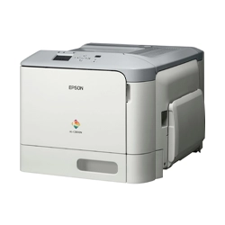 Epson WorkForce AL-C300DTN