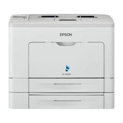 Epson WorkForce AL-M300DTN