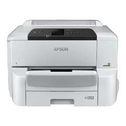 WorkForce Pro WF-C8190DW