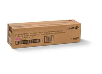 Bęben światłoczuły oryginalny Xerox 013R00659 [Magenta]
